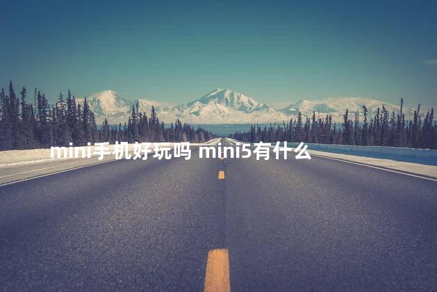 mini手机好玩吗 mini5有什么好玩的功能